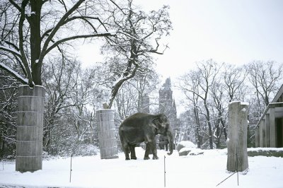 Zoologischer Garten